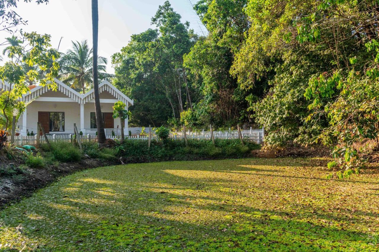 White Serenity Classic Pool Villa Udupi Eksteriør billede